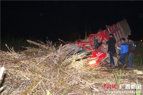 广西柳州:卡车刹车失灵冲进甘蔗地 被困司机获